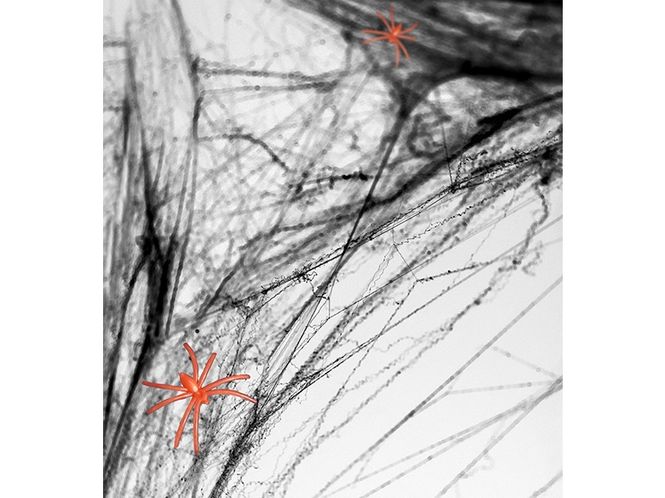 Hovedbilde Spiderweb Sort
