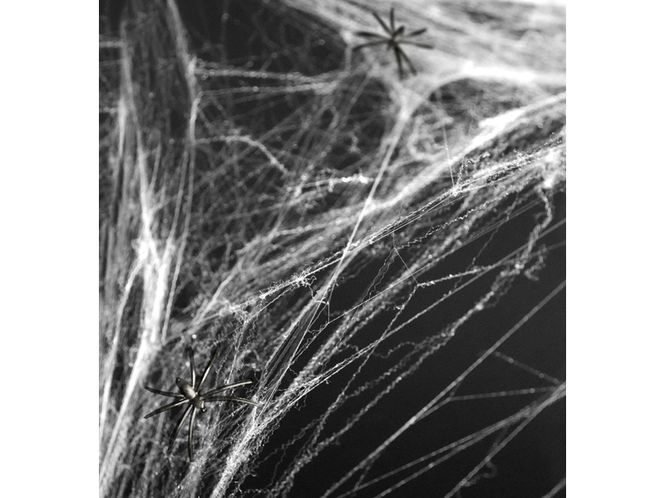 Hovedbilde Spiderweb Hvit